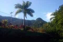 CAM00385