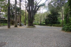 SAM_2218