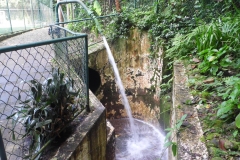 SAM_2275
