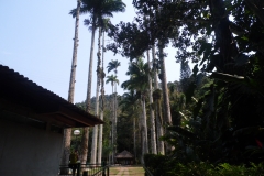 SAM_2348